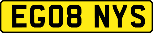 EG08NYS