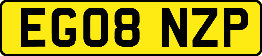 EG08NZP