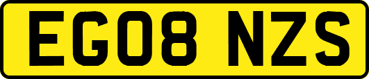 EG08NZS
