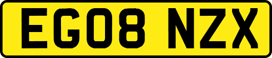 EG08NZX