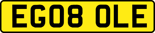 EG08OLE