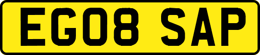 EG08SAP
