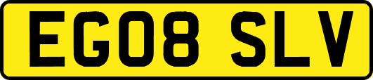 EG08SLV