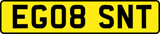 EG08SNT