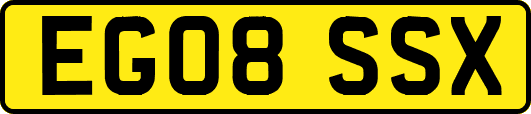EG08SSX