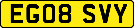 EG08SVY