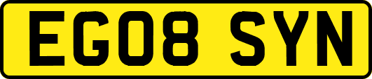 EG08SYN