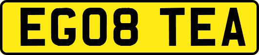EG08TEA