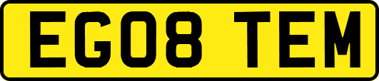 EG08TEM