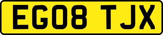 EG08TJX