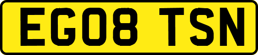 EG08TSN