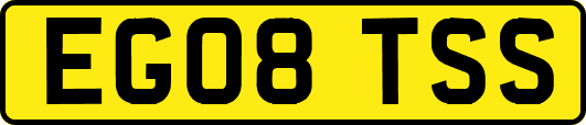 EG08TSS