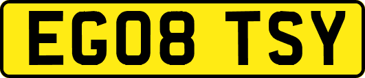 EG08TSY