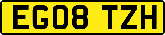 EG08TZH