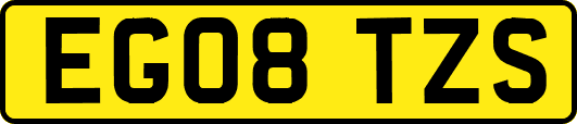 EG08TZS