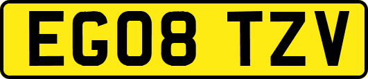EG08TZV