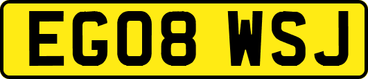 EG08WSJ