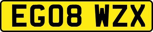 EG08WZX