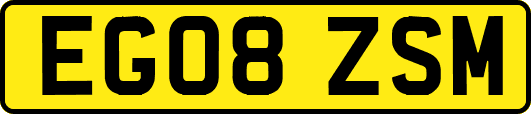 EG08ZSM