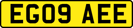 EG09AEE
