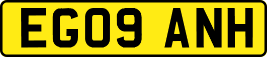 EG09ANH