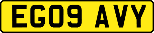 EG09AVY