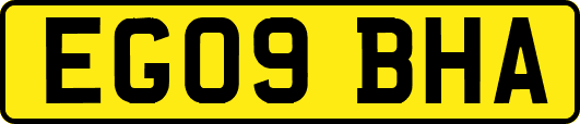 EG09BHA