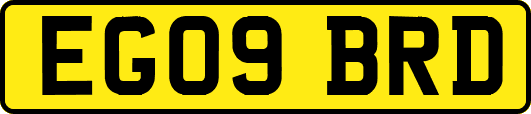 EG09BRD