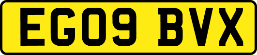 EG09BVX