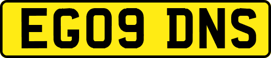 EG09DNS