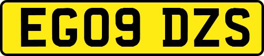 EG09DZS