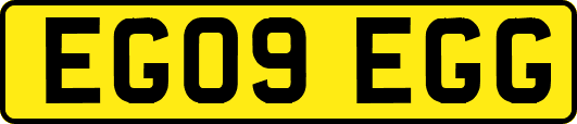 EG09EGG