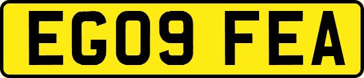EG09FEA