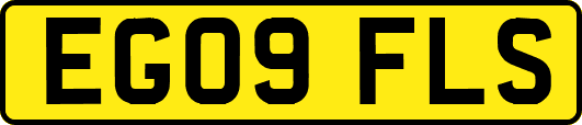 EG09FLS