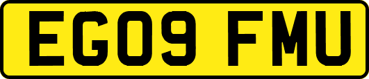EG09FMU