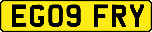 EG09FRY