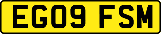 EG09FSM