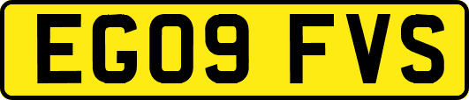 EG09FVS