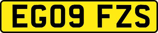 EG09FZS