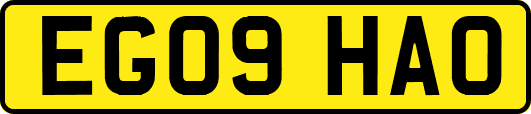 EG09HAO