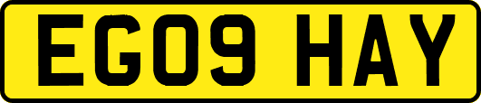 EG09HAY