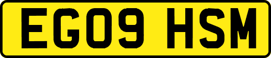 EG09HSM
