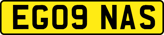 EG09NAS