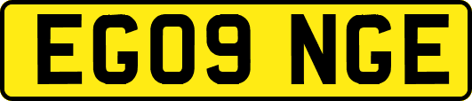 EG09NGE