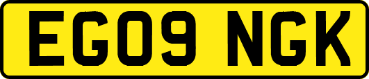 EG09NGK