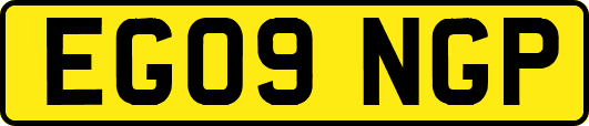 EG09NGP