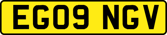 EG09NGV