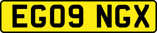 EG09NGX