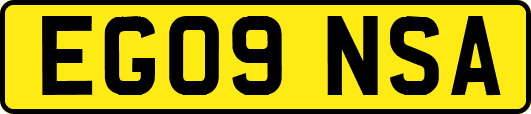 EG09NSA