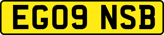 EG09NSB